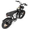 Electric Bike Ridstar Q20 MINI Speed 50km/h 1000W 48V15AH - black