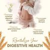 Psyllium Husk Capsules All Natural Fiber Supplement for Gut Health 750 Mg 250 Capsules - Z Zealthy Life