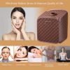 Indoor Private 2L Folding Steam Sauna Spa Tent  - Brown - Sauna Spa Tent