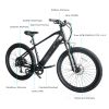 Trustmade Ebike - Panther